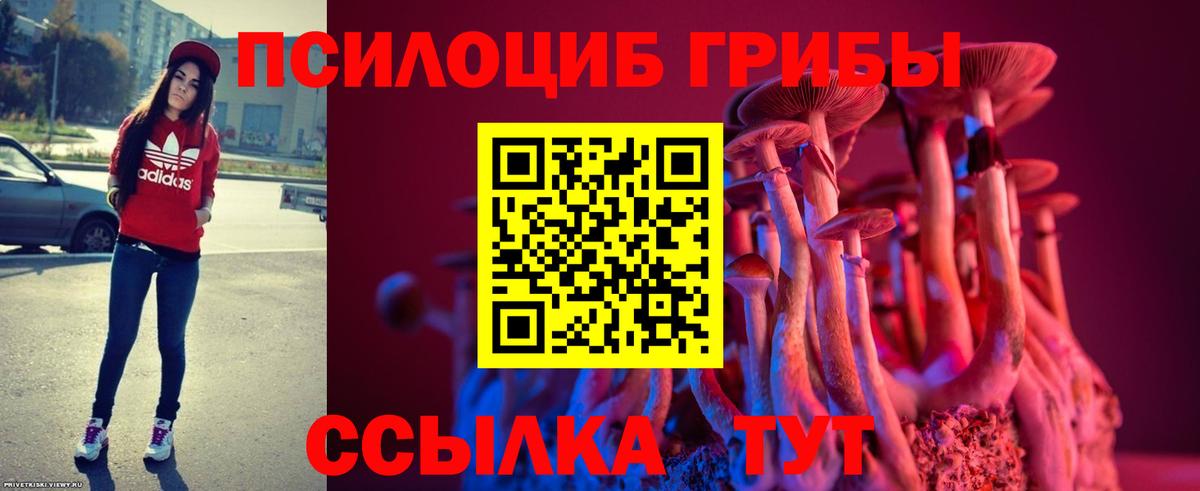 Галлюциногенные грибы MAGIC MUSHROOMS Чапаевск